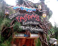 Disneyland Resort Anaheim Splash Mountain Fastpast Sandblasted Cedar Sign